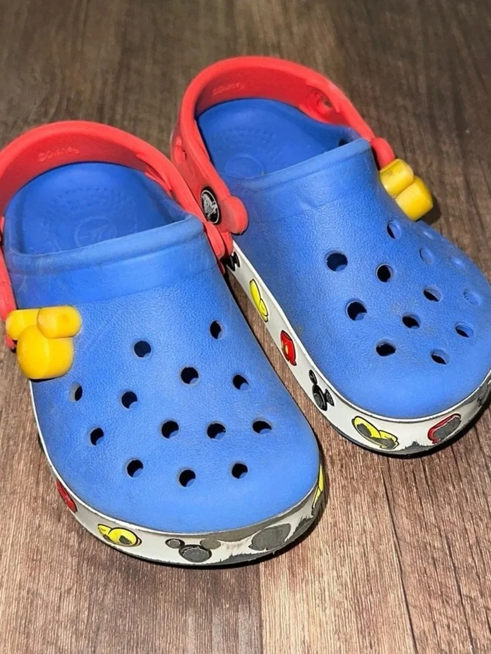 Kids Blue and Red Clog Sandals with Character Trim